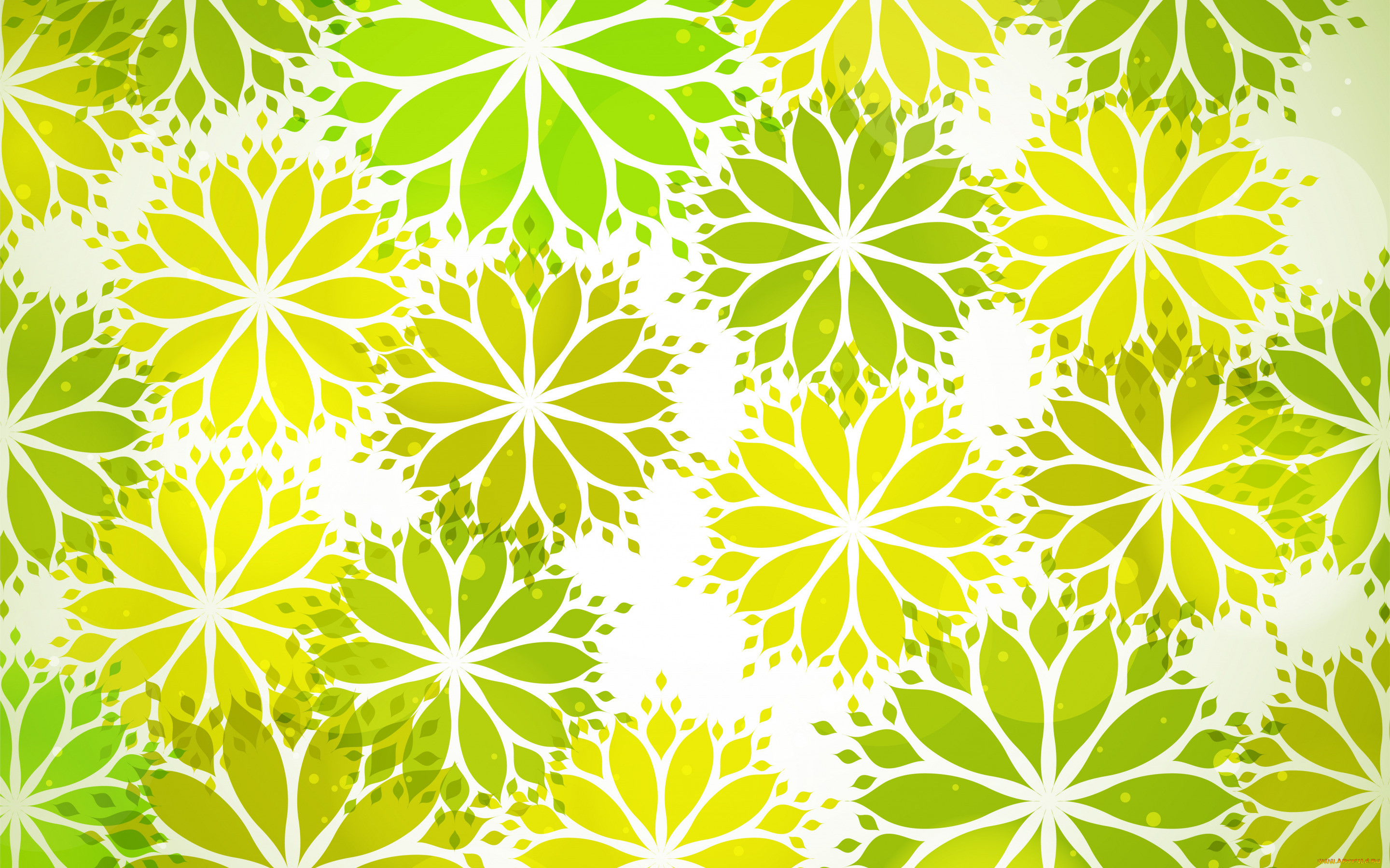  ,  , flowers, , , 